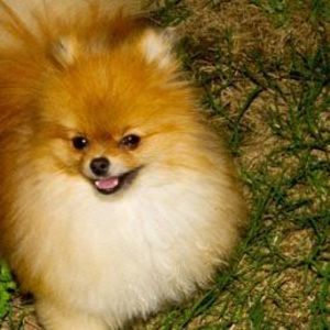 Meet your Posher, Marta